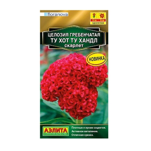 Целозия гребенчатая Ту хот ту хандл скарлет 5шт _10