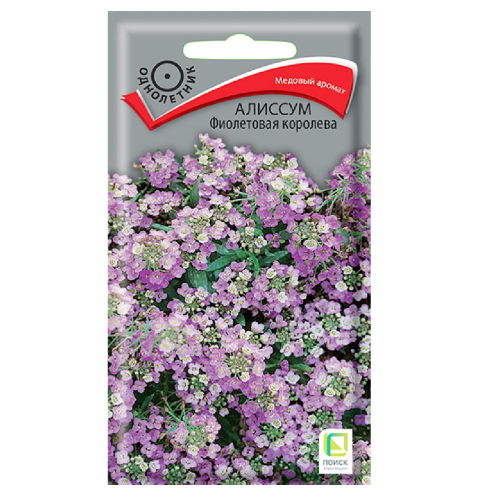Алиссум Фиолетовая королева  0_3гр_10