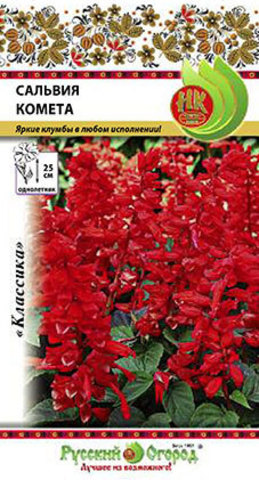 Сальвия Комета  0_1гр_10_200