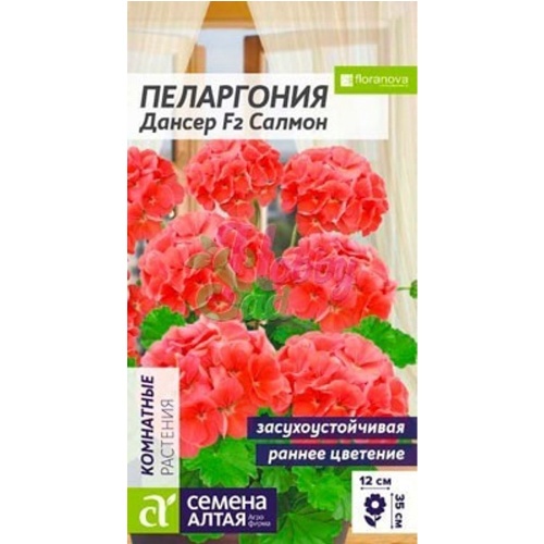 Пеларгония Дансер Салмон зональная 3-4шт_10