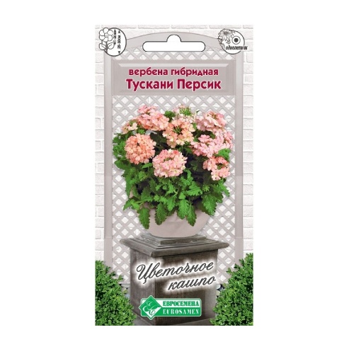 Вербена Тускани Персик гибридная 8шт_10