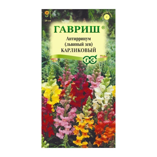 Львиный зев (Антирринум) Карликовый смесь  0_05гр_10