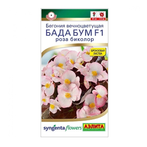 Бегония Бада бум F1 роза биколор 5шт_10