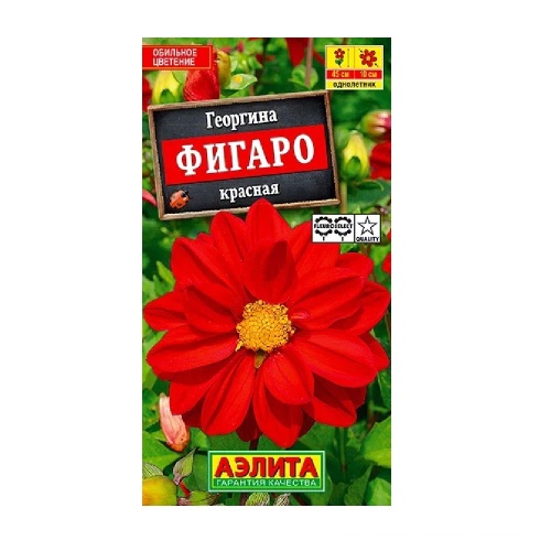 Георгина Фигаро красный махровый 7шт  _10