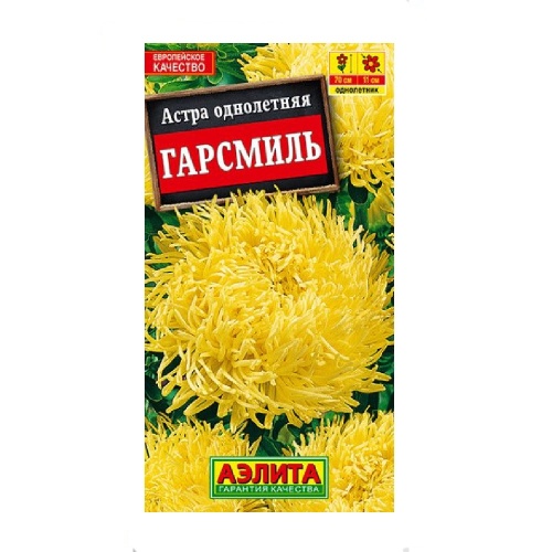 Астра Гарсмиль коготковая  0_2гр_10