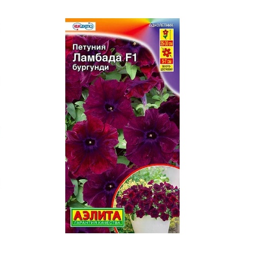 Петуния Ламбада F1 бургунди многоцветковая  7шт_10