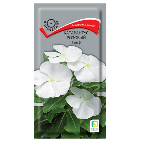 Катарантус розовый Халиф  0_1гр_10