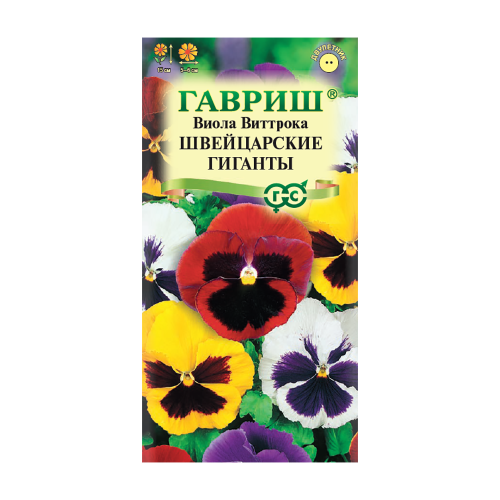 Виола Виттрока Швейцарские гиганты  0_05гр_10