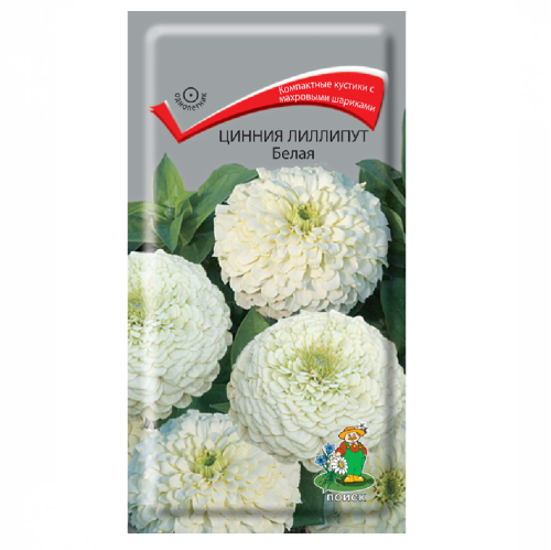 Цинния Лиллипут Белая  0_4гр_10