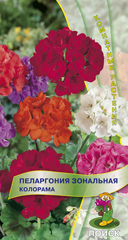 Пеларгония зональная Колорама  0_05гр_10