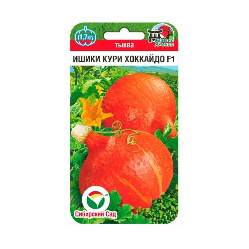 Тыква Ишики Кури Хоккайдо F1 3шт_10