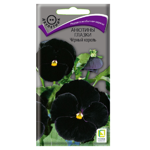 Анютины глазки Черный король  0_2гр_10