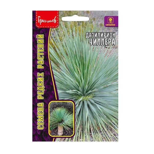 Дазилирион Уиллера 10 шт. _10