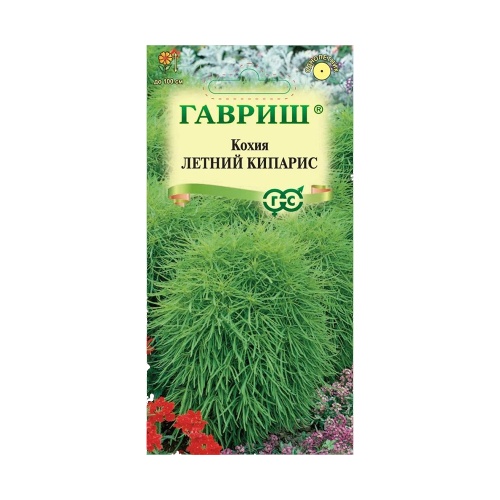 Кохия Летний кипарис  0_3гр_10