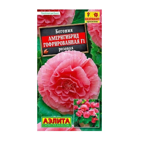 Бегония Америгибрид F1 розовая гофрированная 5шт  _10