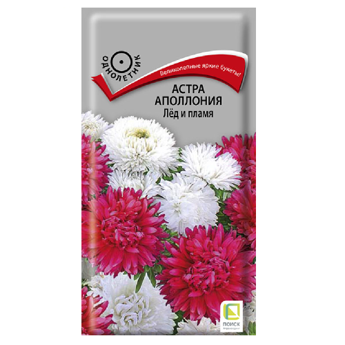Астра Аполлония Лёд и пламя  0_3гр_10