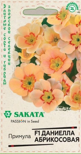 Примула Даниелла абрикосовая F1  5шт_10