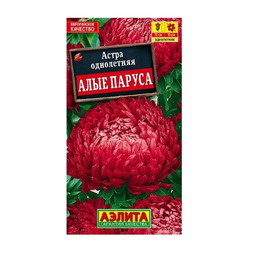 Астра Алые паруса  0_2гр_10