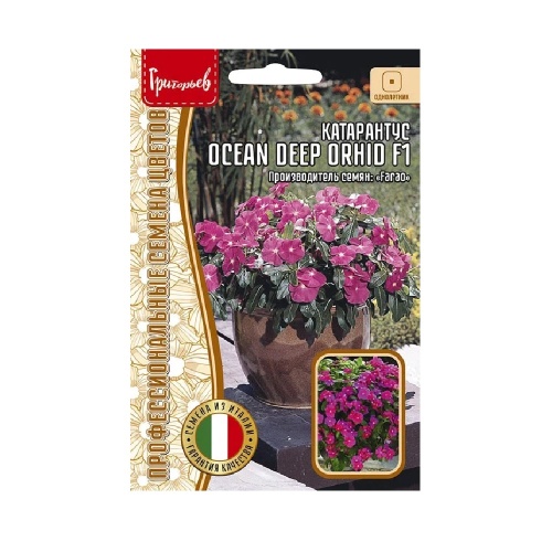 Катарантус Ocean Deep Orhid розовидный 5шт _10