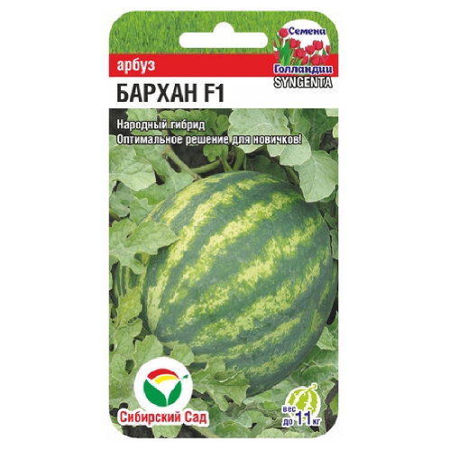 Арбуз Бархан  F1  4шт_10