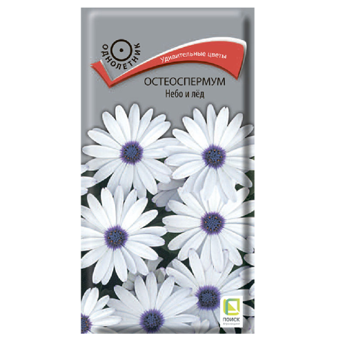 Остеоспермум Небо и лед  0_1гр_10