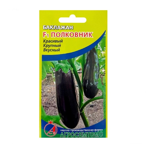 Баклажан Полковник F1  12шт_10