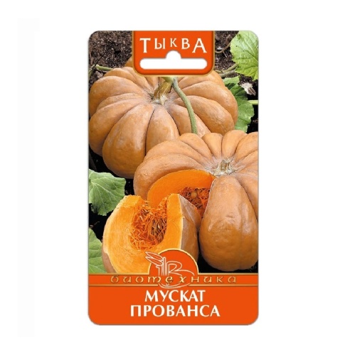 Тыква Мускат прованса  5шт_5
