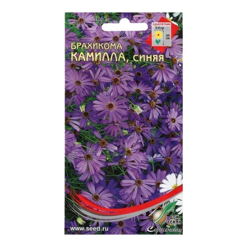 Брахикома Камилла синяя  180шт_10