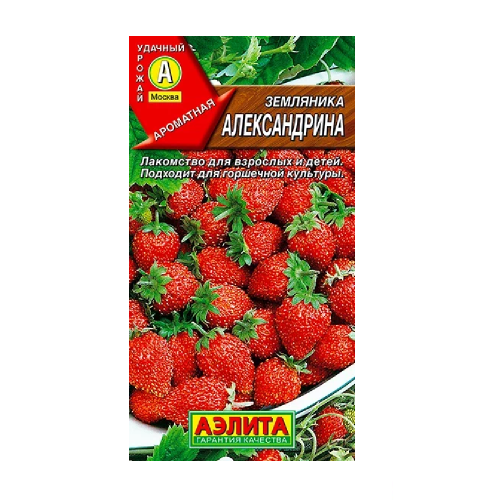 Земляника Александрина  0_04гр_10
