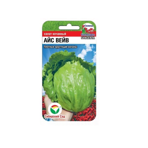 Салат Айс Вейв  10шт_10