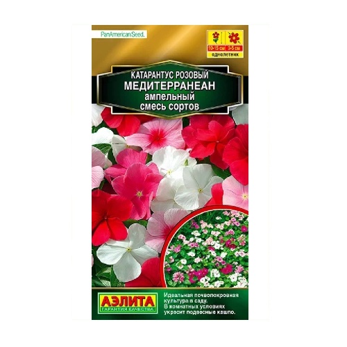 Катарантус Медитерранеан смесь окрасок ампельный  5шт_10