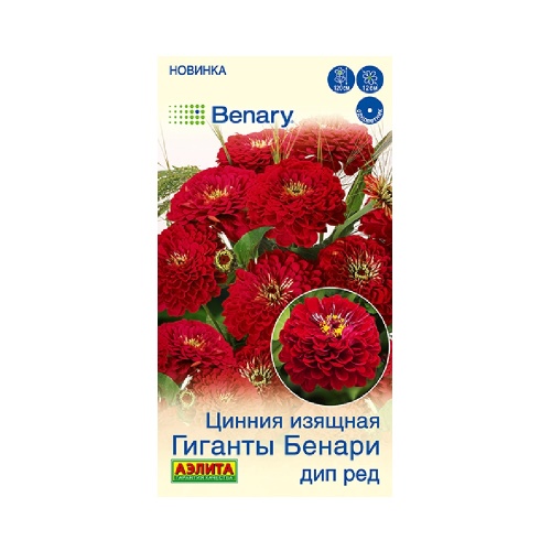 Цинния Гиганты Бенари дип ред 7шт _10