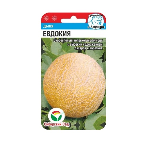 Дыня Евдокия  7шт_10