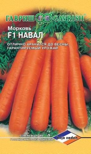 Морковь Навал  150шт_10