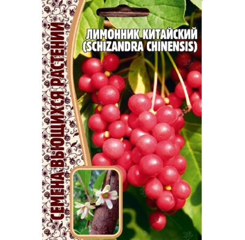 Лимонник Schizandra chinensis китайский 5шт_10