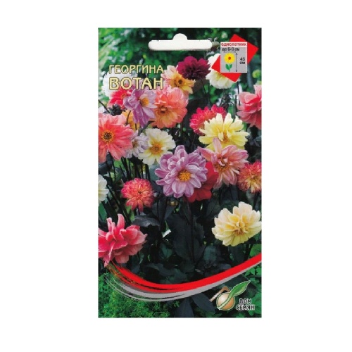 Георгина Вотан  15шт_10