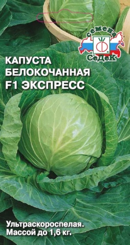 Капуста б_к Экспресс F1  0_3гр_10