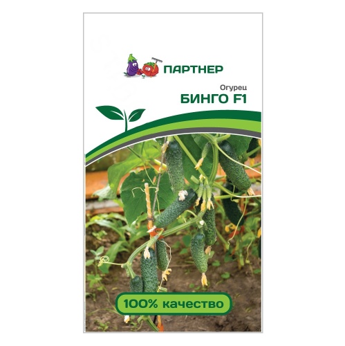 Огурец Бинго F1  5шт_10