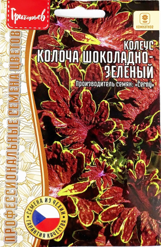 Колеус Колоча Шоколадно-Зелёный 4шт_10
