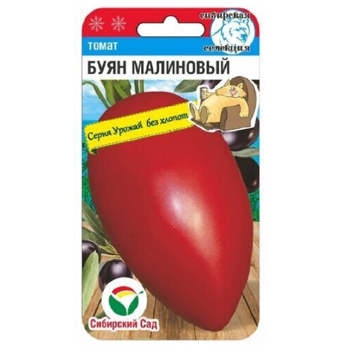 Томат Буян малиновый  20шт_10