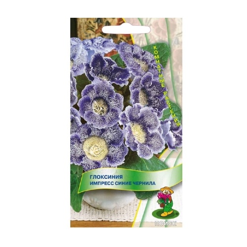 Глоксиния Импресс Синие чернила  5шт_10