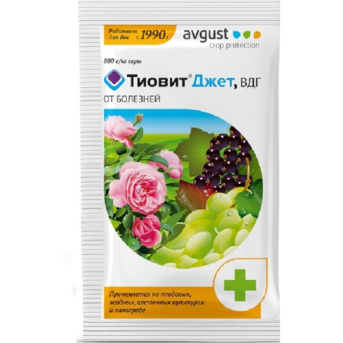 ТИОВИТ ДЖЕТ АВГУСТ 30г   _200