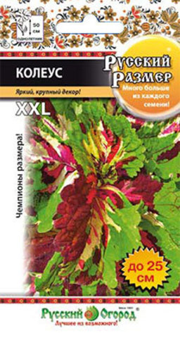 Колеус Русский размер  4шт_10_200