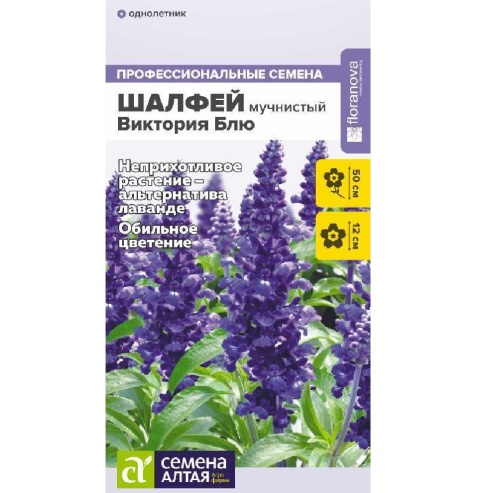 Шалфей мучнистый Виктория Блю 10шт_10