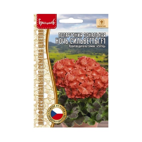 Пеларгония Ночь Сильветты зональная F1 (Night Salmon) 3 шт_10