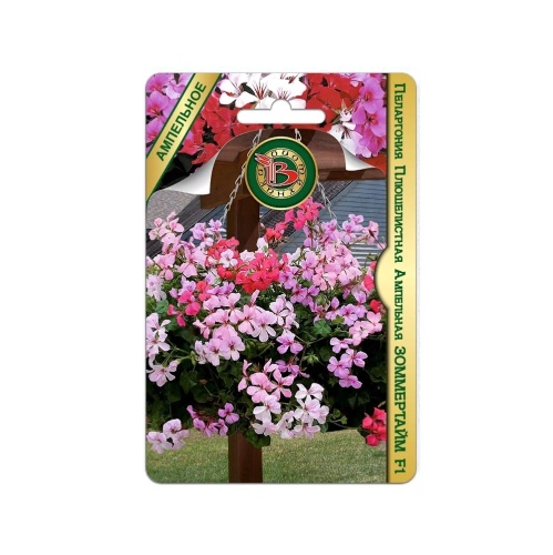 Пеларгония Зоммертайм F1 ампельная плющелистная  5шт_5_10