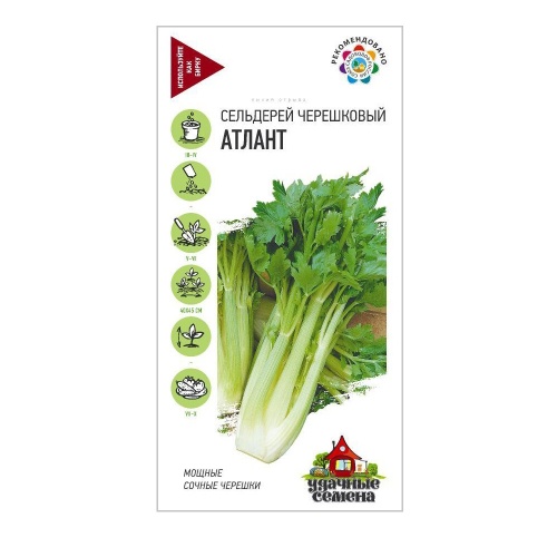 Сельдерей черешковый Атлант_Удачные семена  0_1гр_10