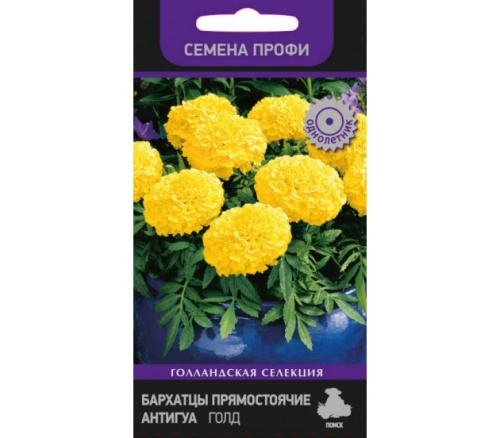 Бархатцы Антигуа Голд прямостоячие  15шт_10