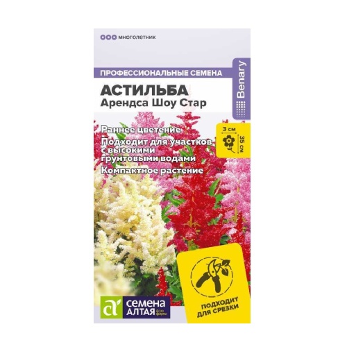 Астильба Арендса Шоу Стар  3 шт_10