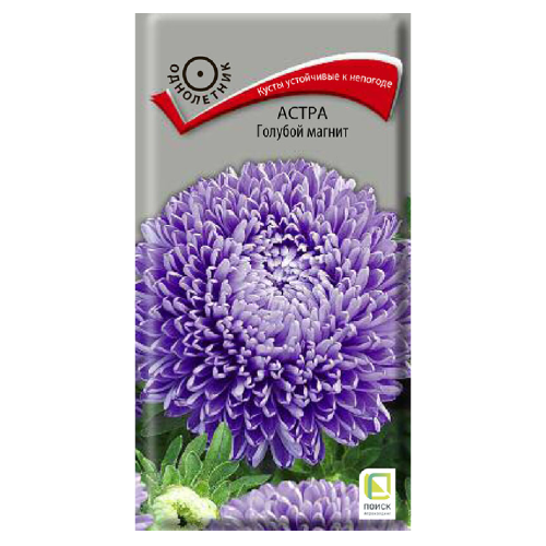 Астра Голубой магнит  0_3гр_10